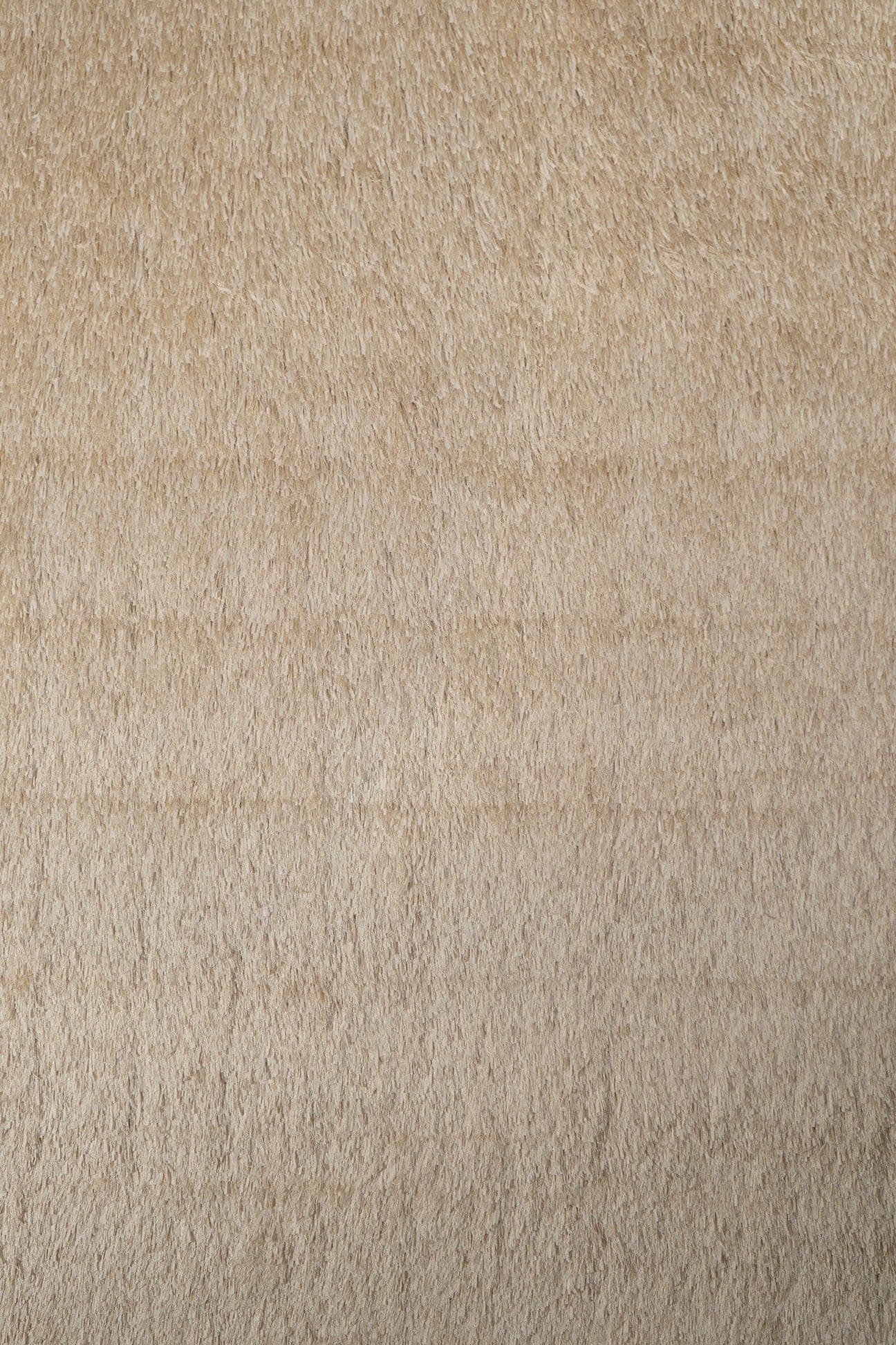Ribbon rug