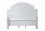 CAMA