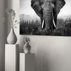 DECORACIÓN