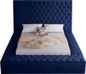 Cama