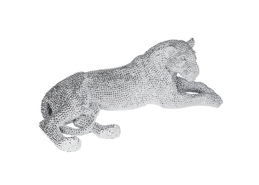 Leopardo Plateado Echado