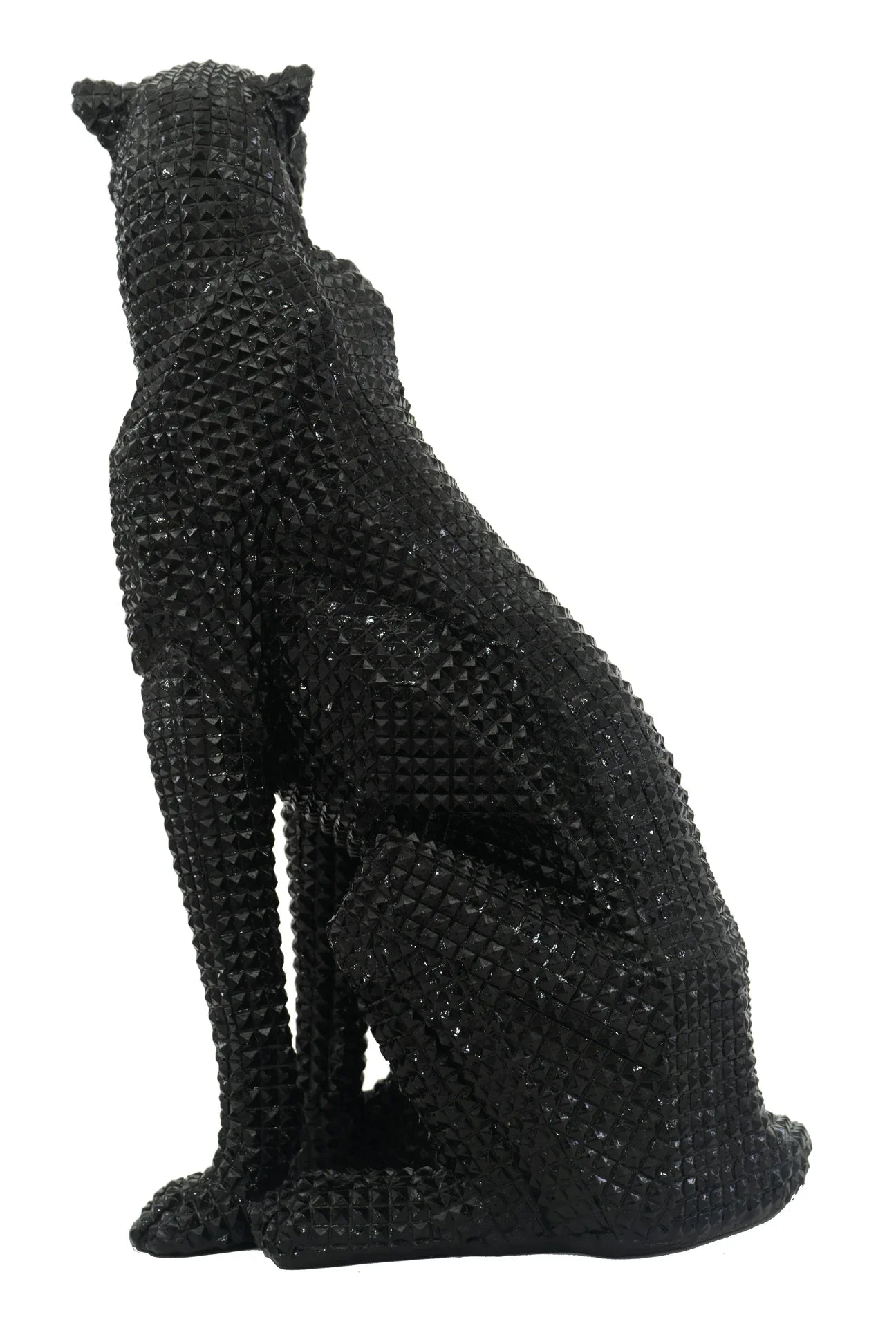 Leopardo Negro Sentado con Estoperoles
