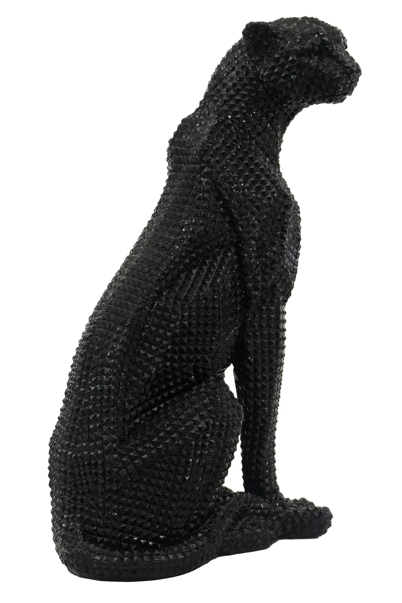 Leopardo Negro Sentado con Estoperoles