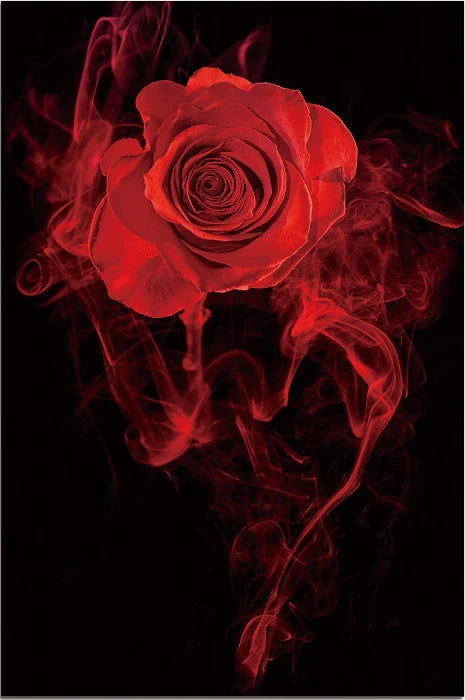 KL-002 Rose - Acrylic
