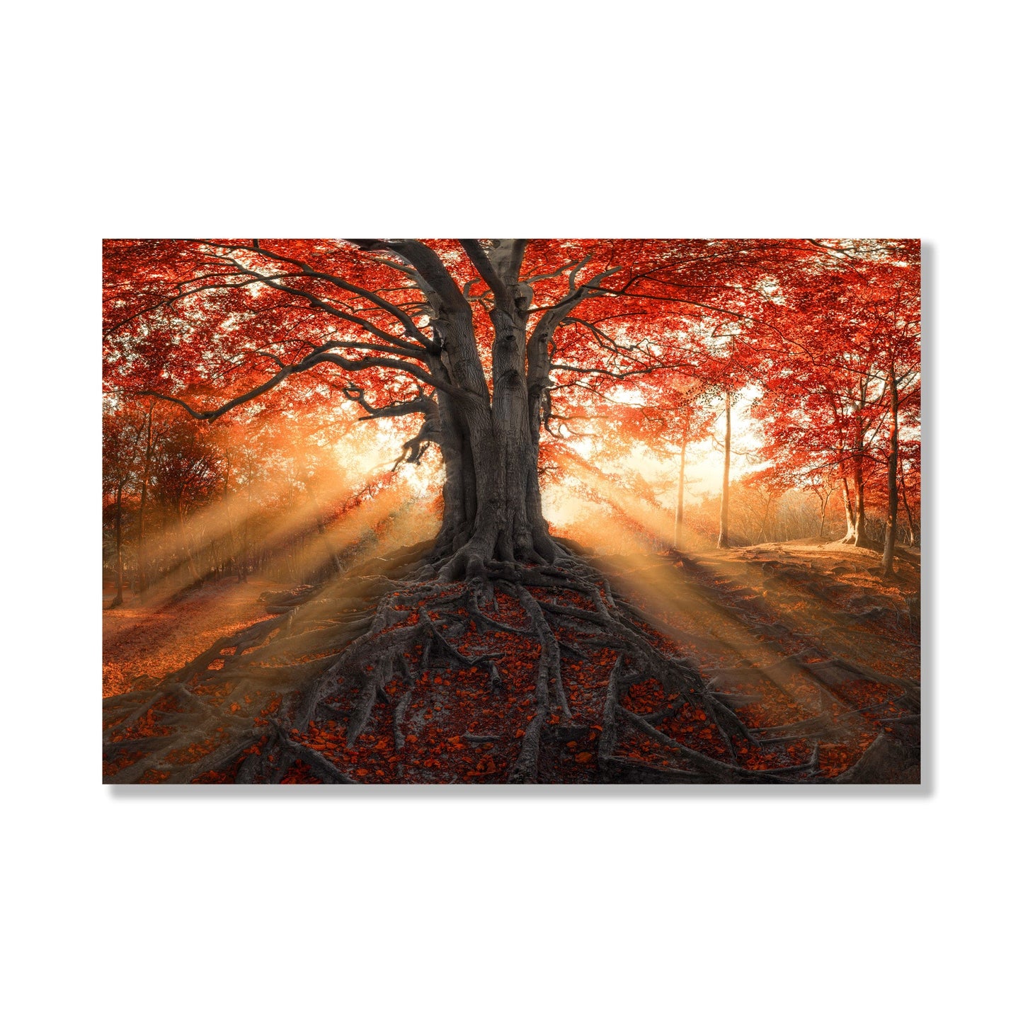 Arte en vidrio de árbol